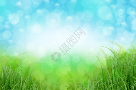 绿色草和蓝天空地貌背景图片
