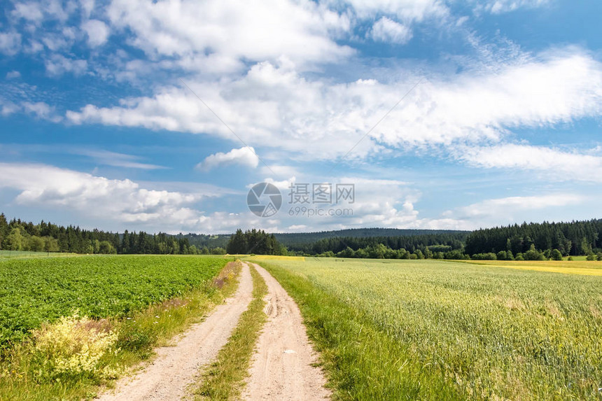 穿过夏日风景的土路图片