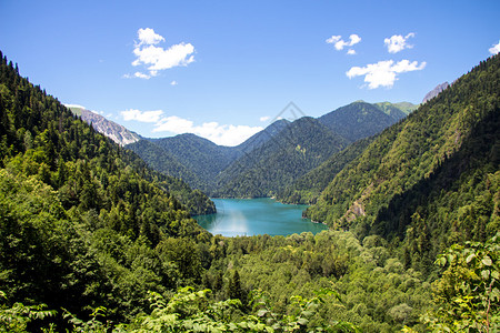 山中湖景夏日风景图片