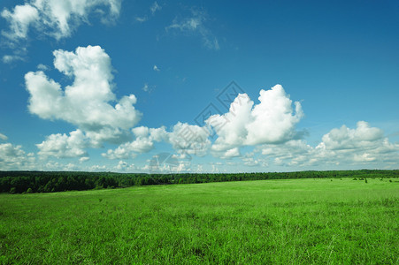 与多云天空的绿色风景图片