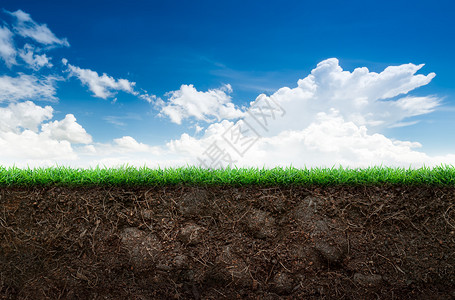蓝天下的松散土壤和绿草图片