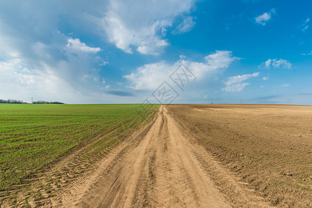 种植绿色草原农村景象蓝图片