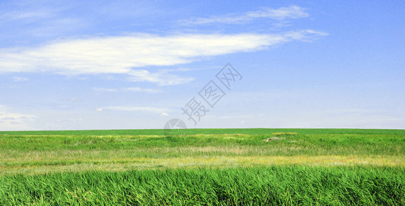 多云的天空和草的背景图片