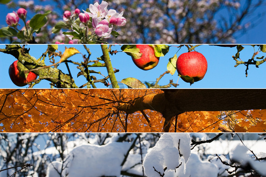 四个季节四图片