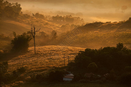 早晨日出时有雾的乡村房屋图片