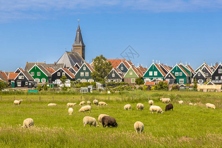 荷兰村庄的多彩木屋和教堂图片