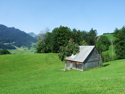 Obertogogenburg地区的农场和牧场图片