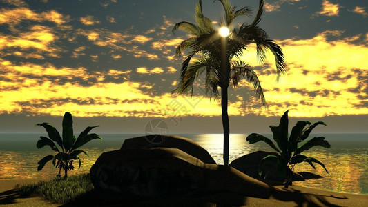 热带天堂的夏威夷日落图片