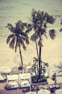 海滩和海上美丽的椰子棕榈树图片