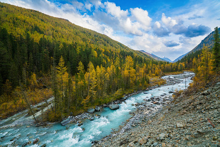 贝卢卡山周围Altai山自然公园Akkem河谷的图片