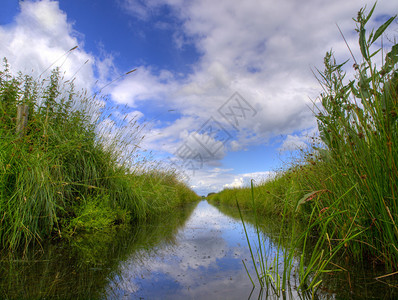 荷兰圩田景观中的淡水沟图片