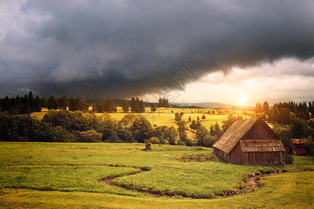 美丽的乡村暴风雨背景下的木图片