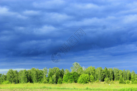 森林和草地下乌云密布的风景图片
