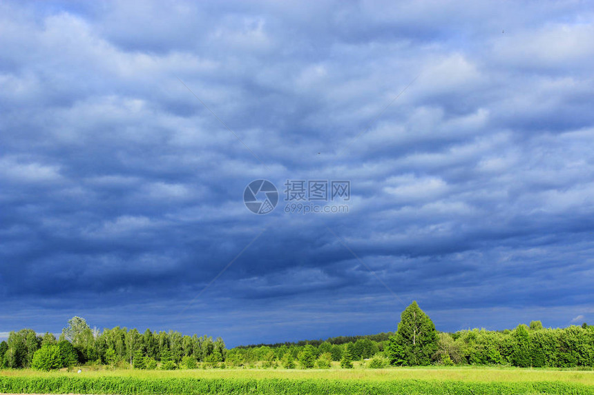 森林和草地下乌云密布的风景图片
