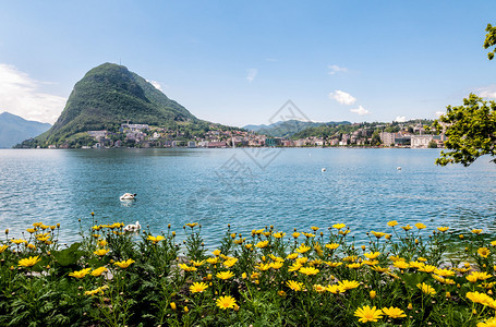 瑞士卢加诺城市植物园的海湾景象图片
