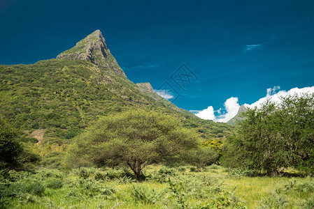 这座山位于毛里求斯的Park图片