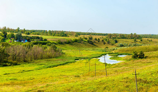 库尔斯克环境芦苇高清图片