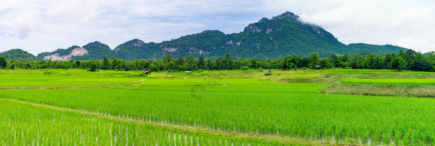 A具有山地背景的农业田地大背景图片