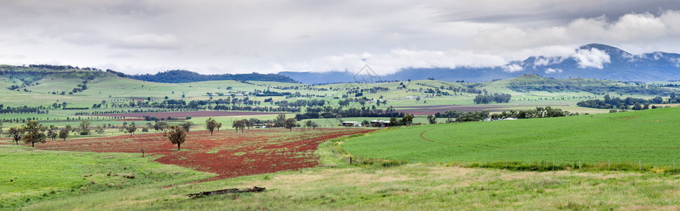 围观全景俯视北南新威尔士中部Mut背景图片