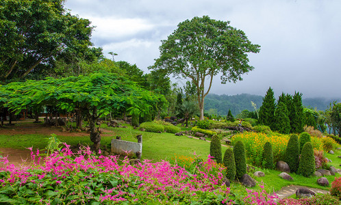 山上五颜六色的鲜花美丽的花园背景图片