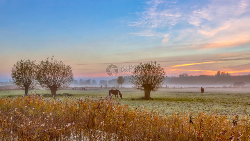 秋天日出时在荷兰农业地貌的黄昏图片