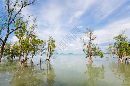 泰国热带康兰塔岛夏季海景旧城图片