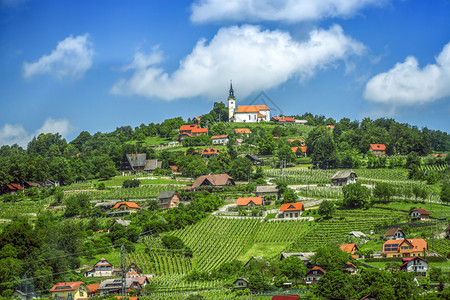 斯洛文尼亚美丽村庄的全景图片