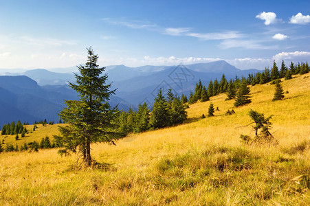 山中夏月风景山地谷里有图片