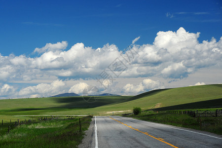 蒙大拿州草山的一条路图片