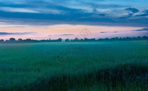草原的清晨图片