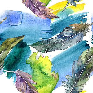 从孤立的翅膀的鸟羽水彩背景插图集水彩画时尚水彩画孤立无缝背景图案织物图片