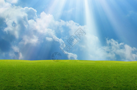 蓝天和阳光背景的草原背景图片
