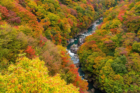 日本秋季鬼怒川图片