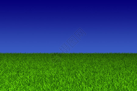 蓝天绿草场图片