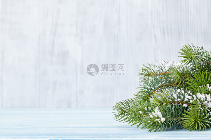 圣诞节背景有雪的fir树图片