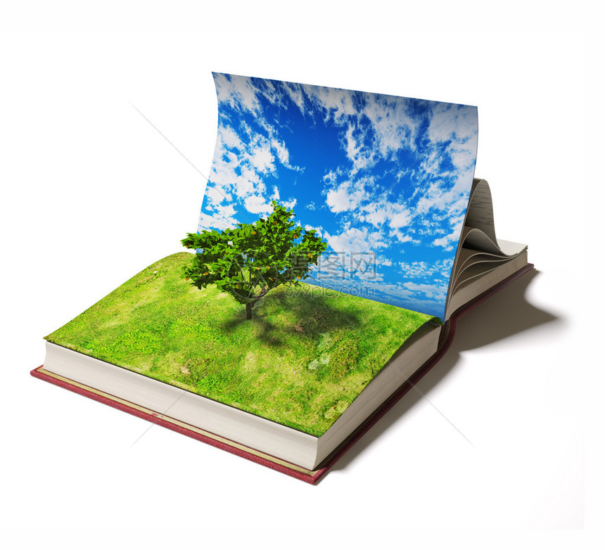 打开页面上树的书并附图片