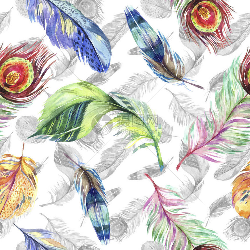 从翼的五颜六色的鸟羽毛水彩背景插图集水彩画时尚水彩画孤立无缝背景图案织物图片