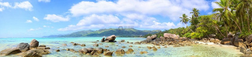 塞舌尔马赫岛棕榈和岩石热带海滩图片