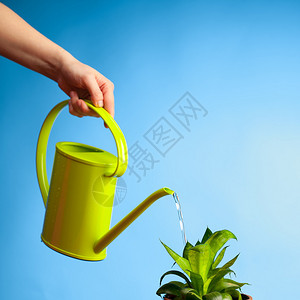 用喷壶给植物浇水背景图片