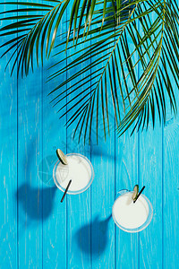 眼镜中的椰子鸡尾酒和绿棕榈叶的顶端视图图片
