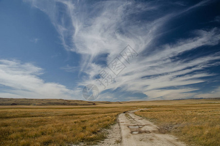 阿尔泰岛野生物夏季有云的公路图片