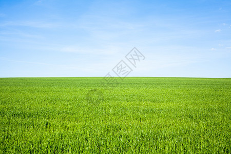 空旷的草地与蓝天背景图片