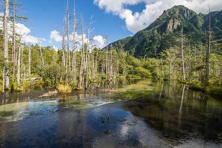 北日本阿尔卑斯山的群众度假胜地Kam图片