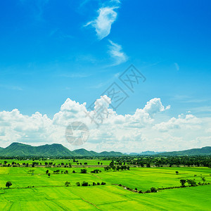 蓝色天空下绿色农村地区图片