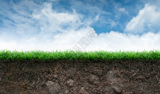 蓝天下的土壤和绿草背景图片