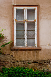 绿墙上旧式窗户图片