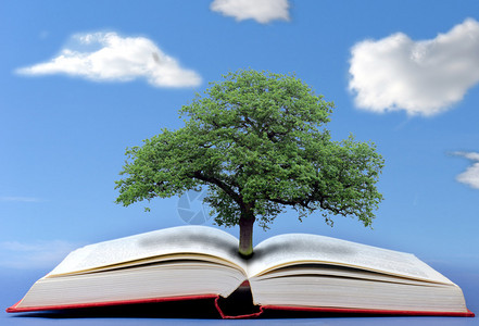 书中绿树知识树图片