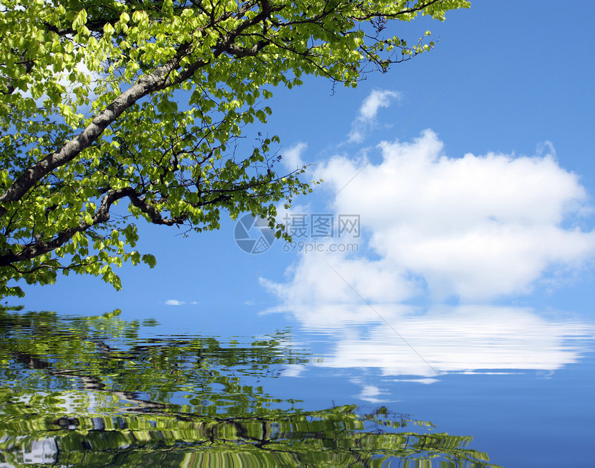 山湖之春图片
