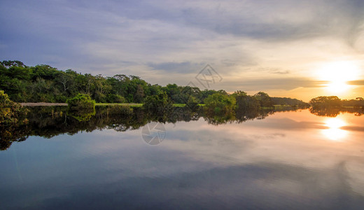 黄昏时分亚马逊雨林中的河流秘鲁南美洲背景图片