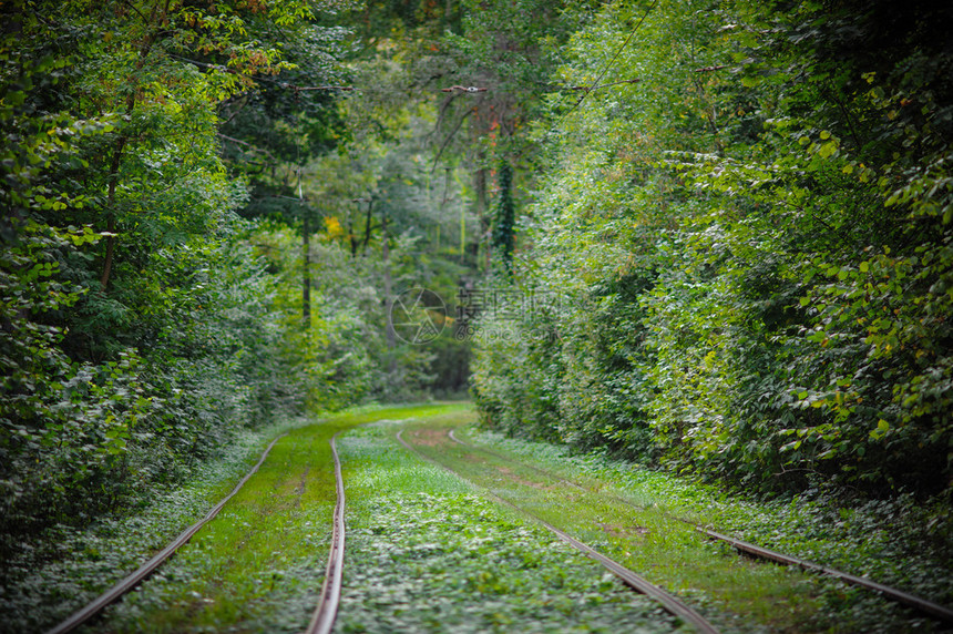 森林公园市区的电车轨道图片